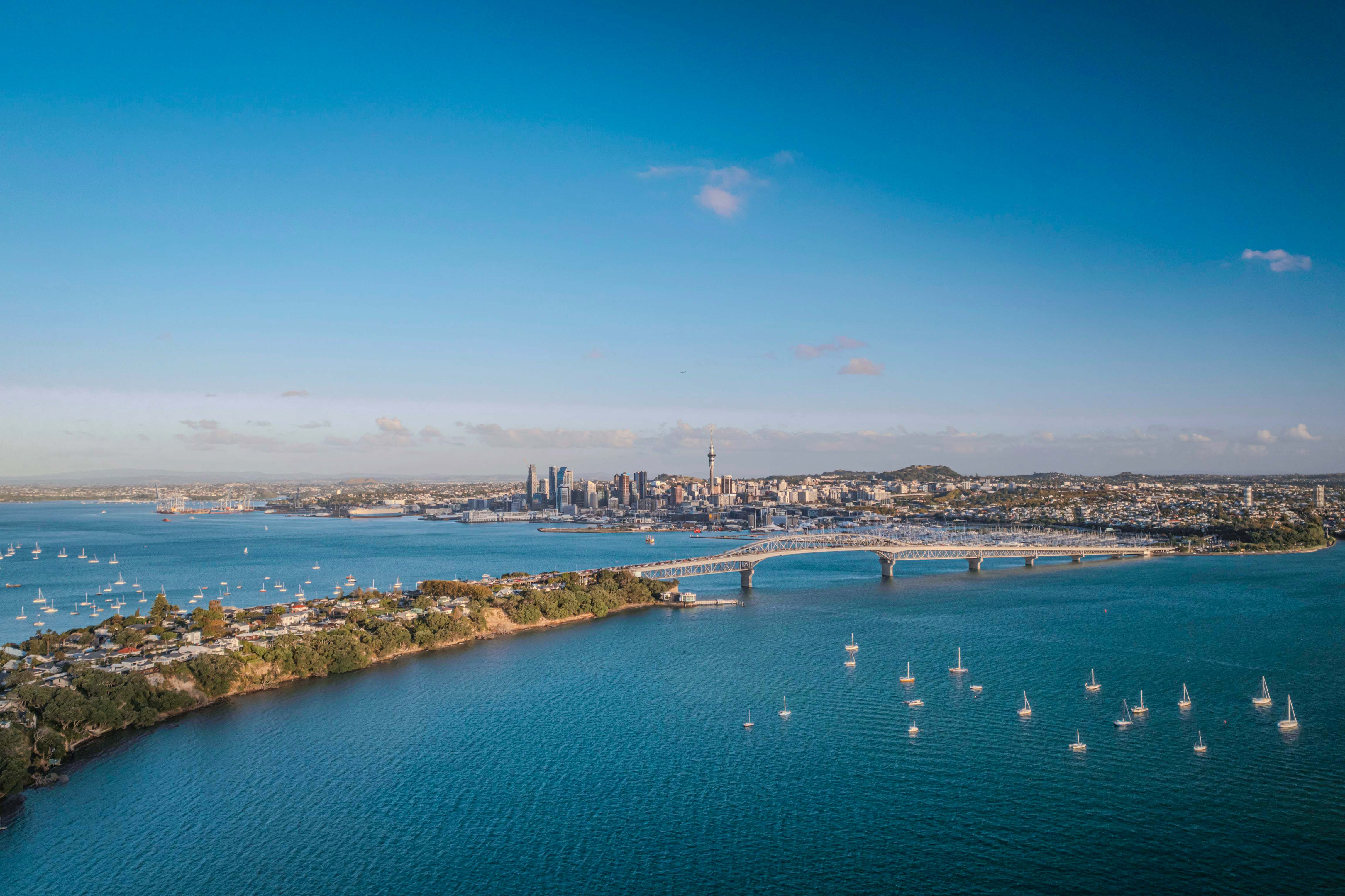 A birds-eye view of Auckland with boats in the harbor.