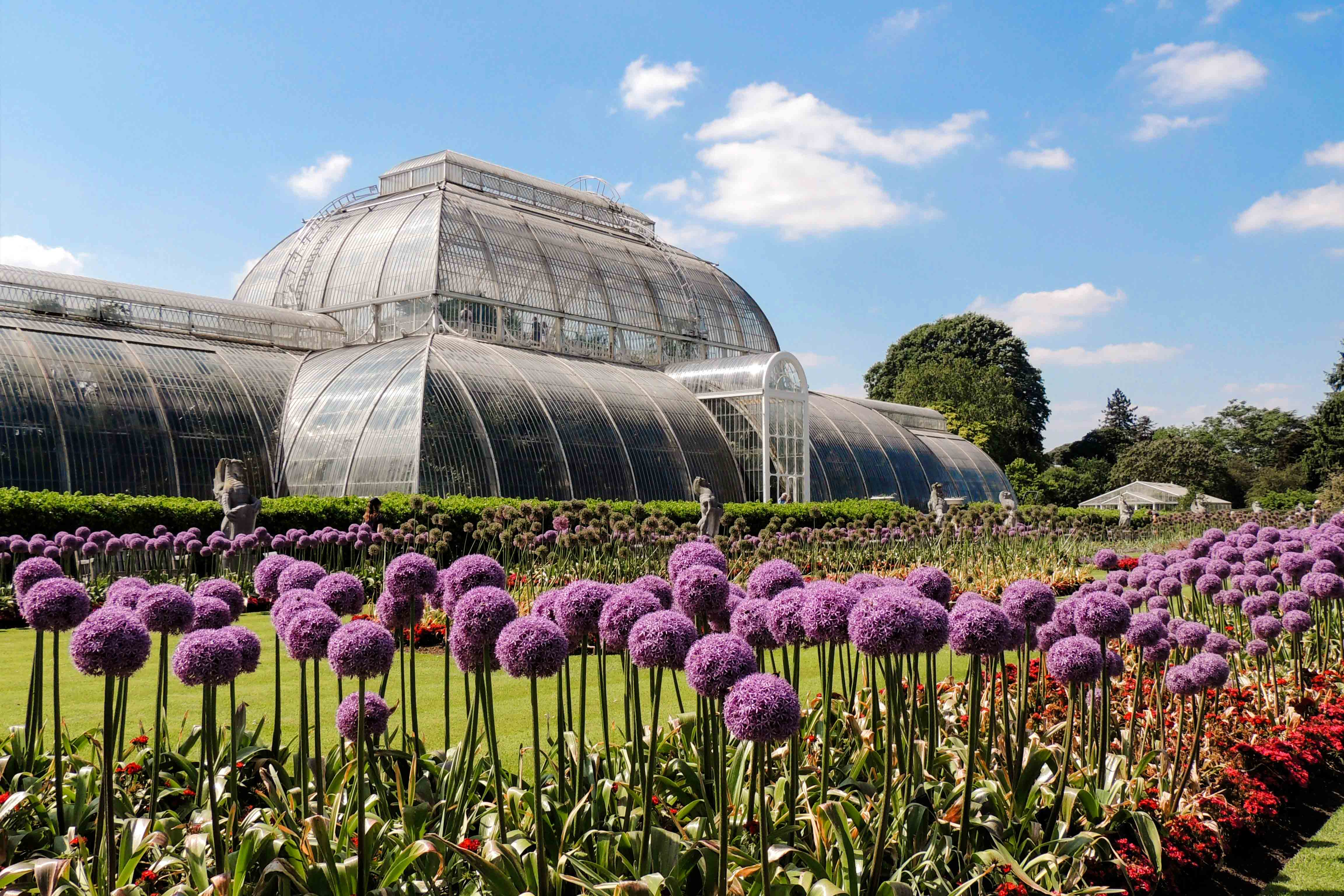 A view of Kew Gardens' greenhouse in London with purple flowers in the foreground.