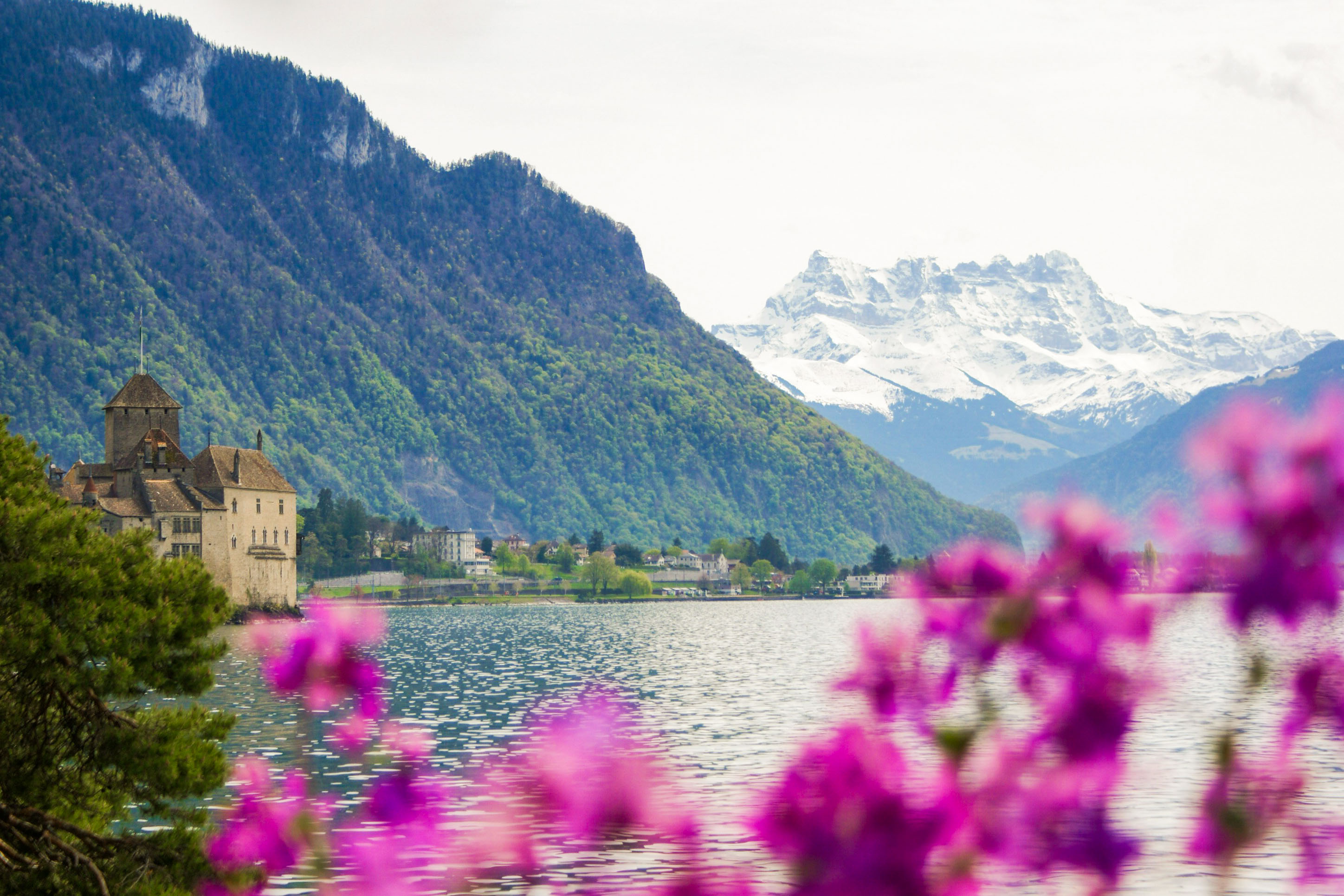A lake view with historic buildings and flowers in Montreux.